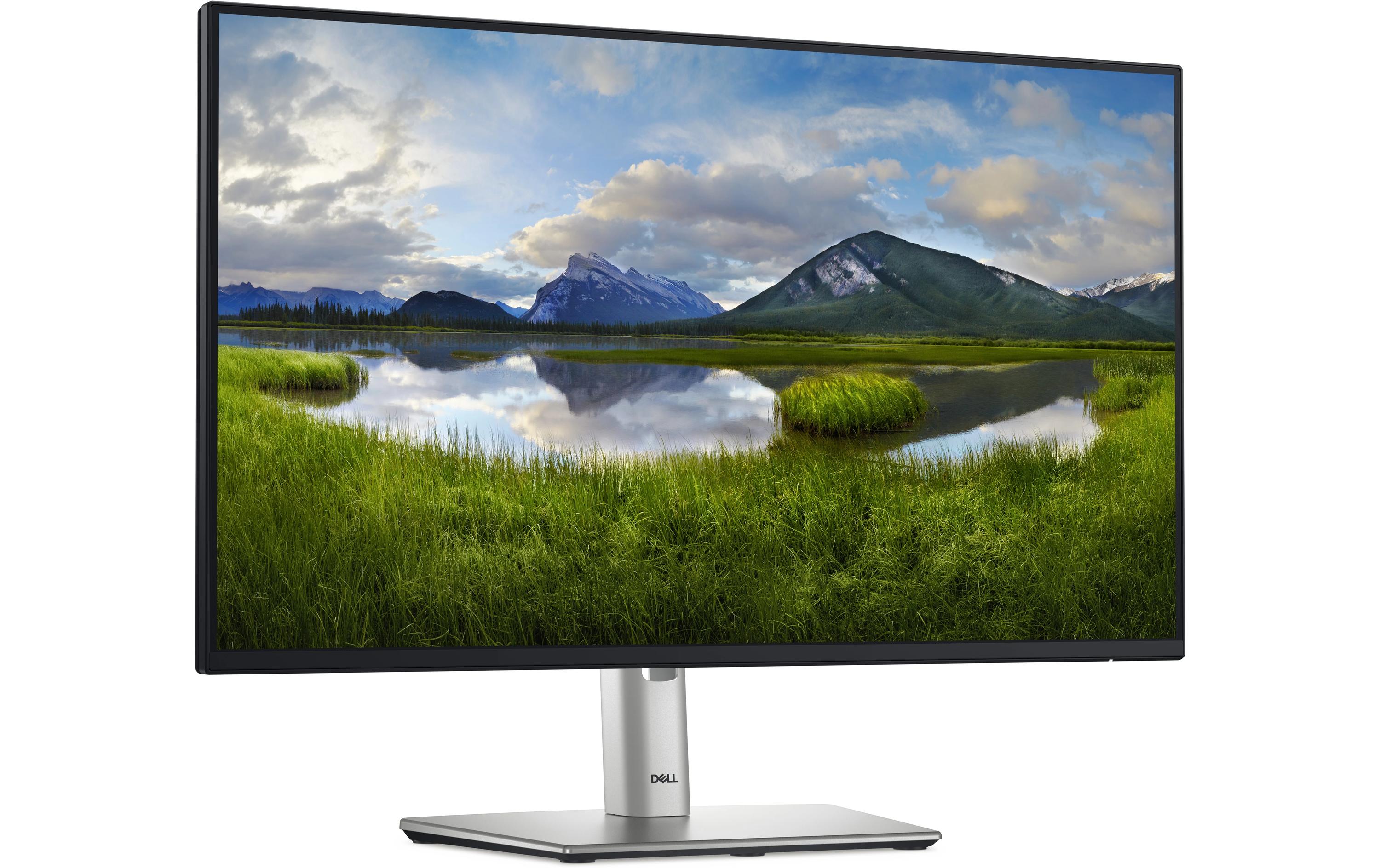 DELL Moniteur P2425H