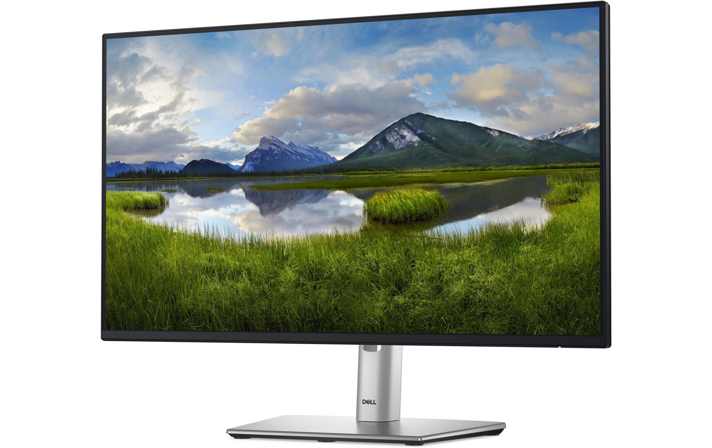 DELL Moniteur P2425H