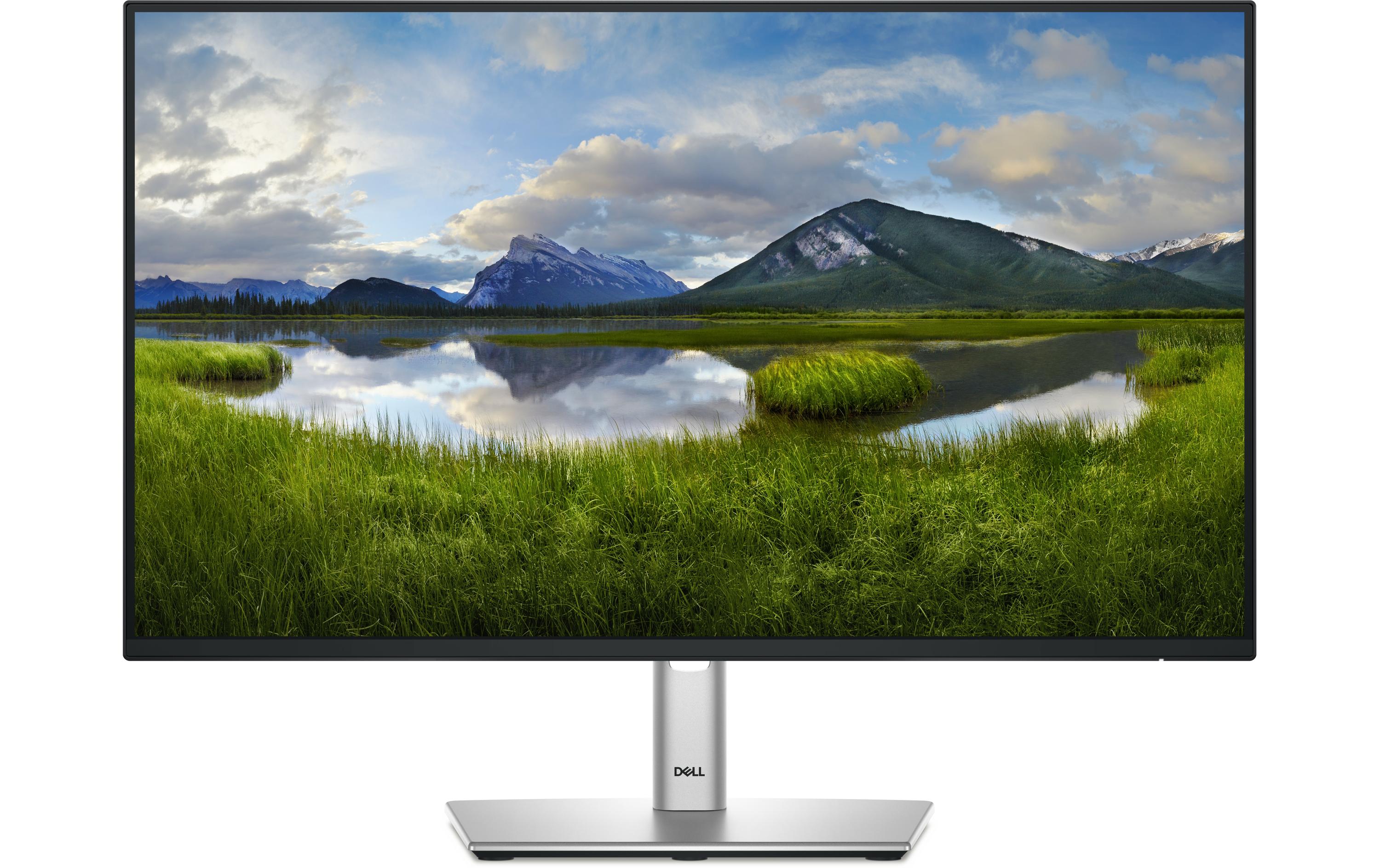 DELL Moniteur P2425H