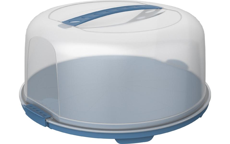 Rotho Boîte de transport pour gâteau Fresh haut, Bleu/Transparent