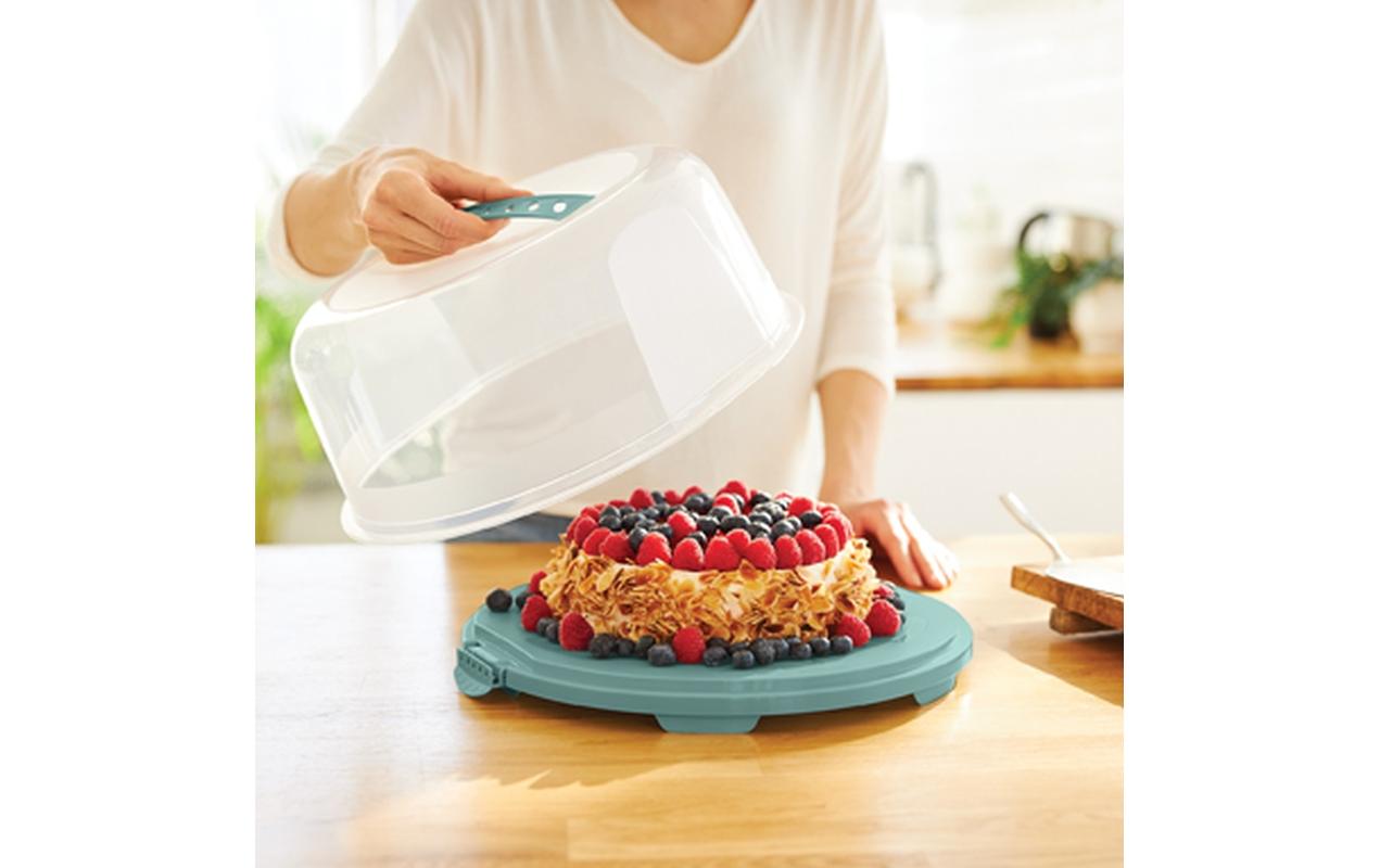 Rotho Boîte de transport pour gâteau Fresh haut, Bleu/Transparent