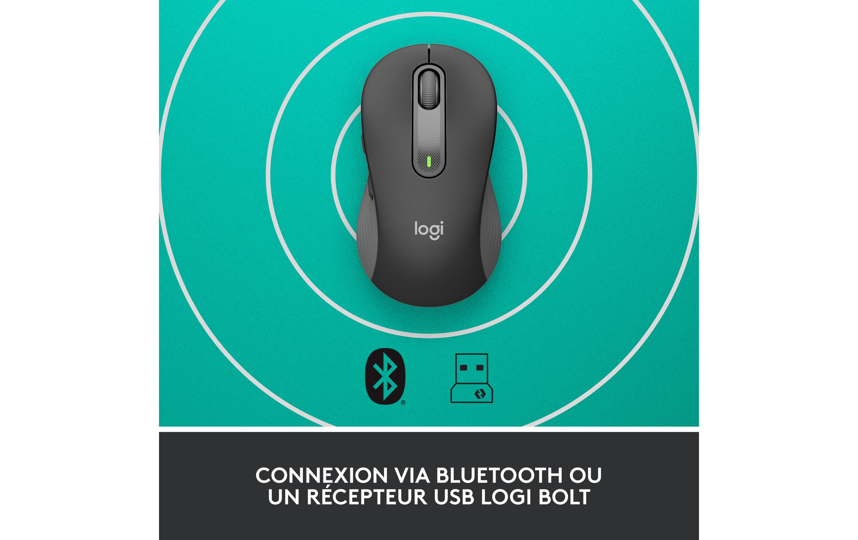 Logitech Souris Signature M650 Graphite