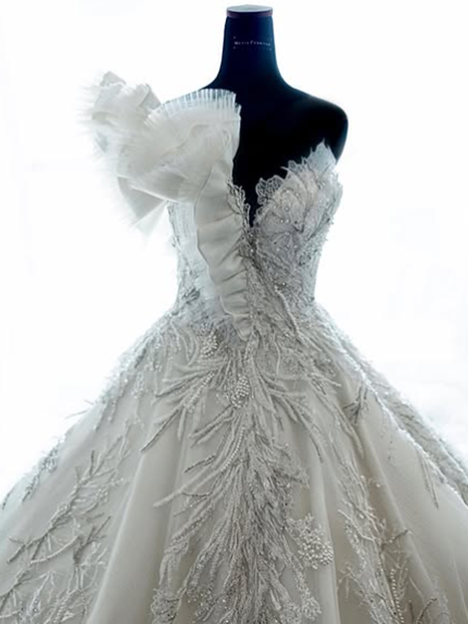 WC015 - Lustrous Allure: The Radiant Curve Gown