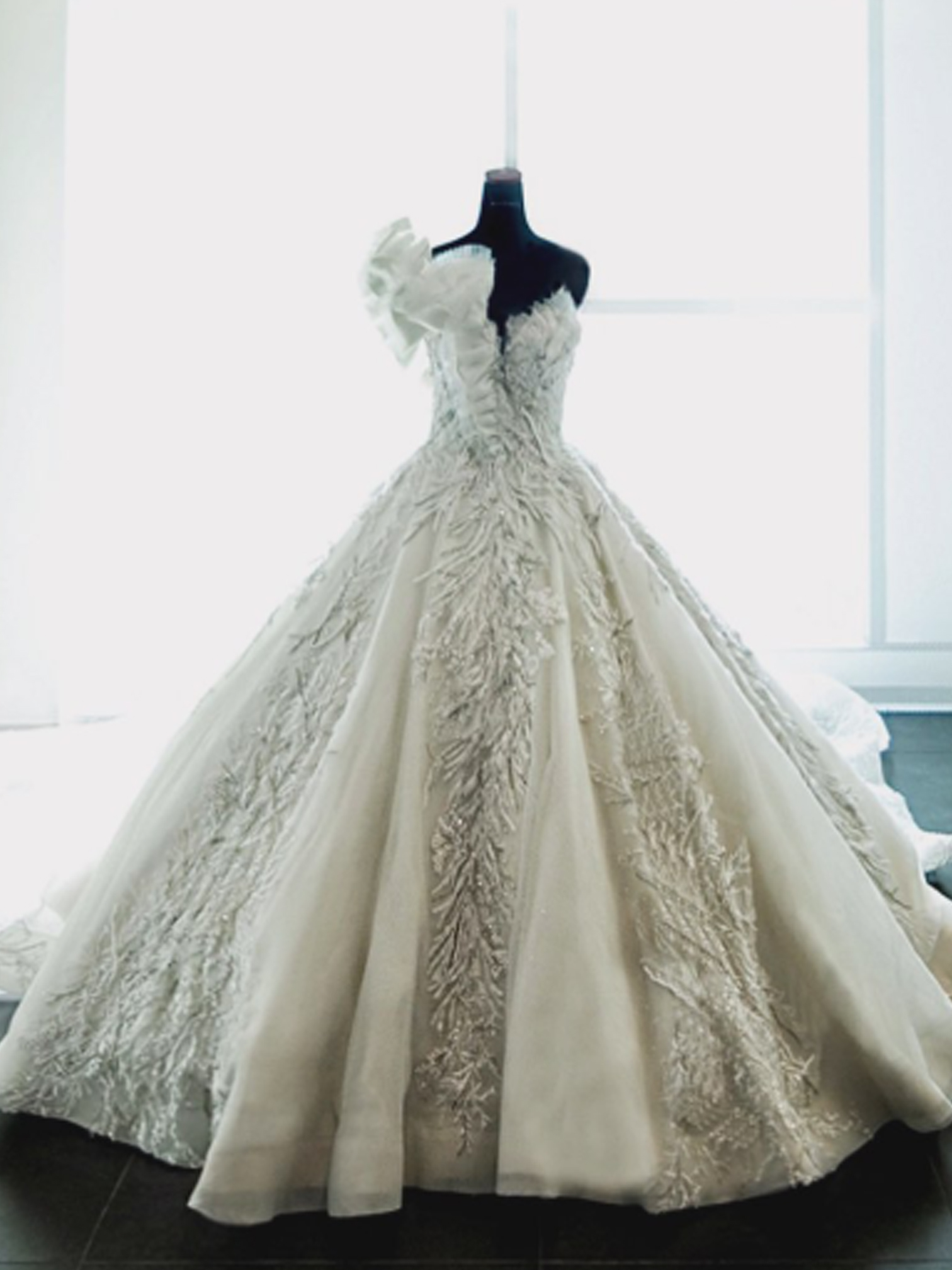 WC015 - Lustrous Allure: The Radiant Curve Gown