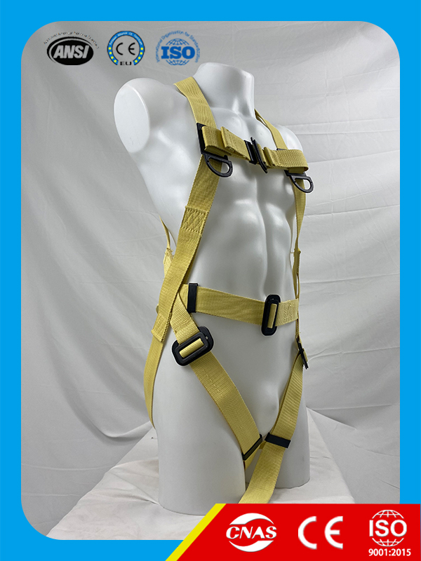 Full body Harness-BD029