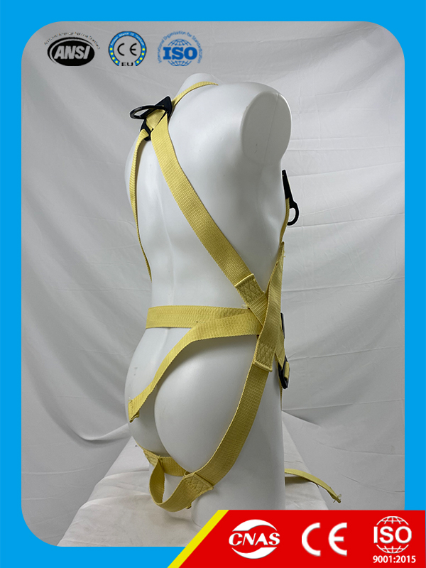 Full body Harness-BD029