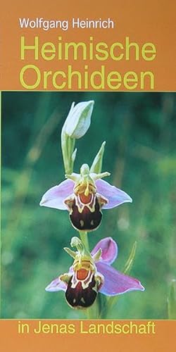 Heimische Orchideen