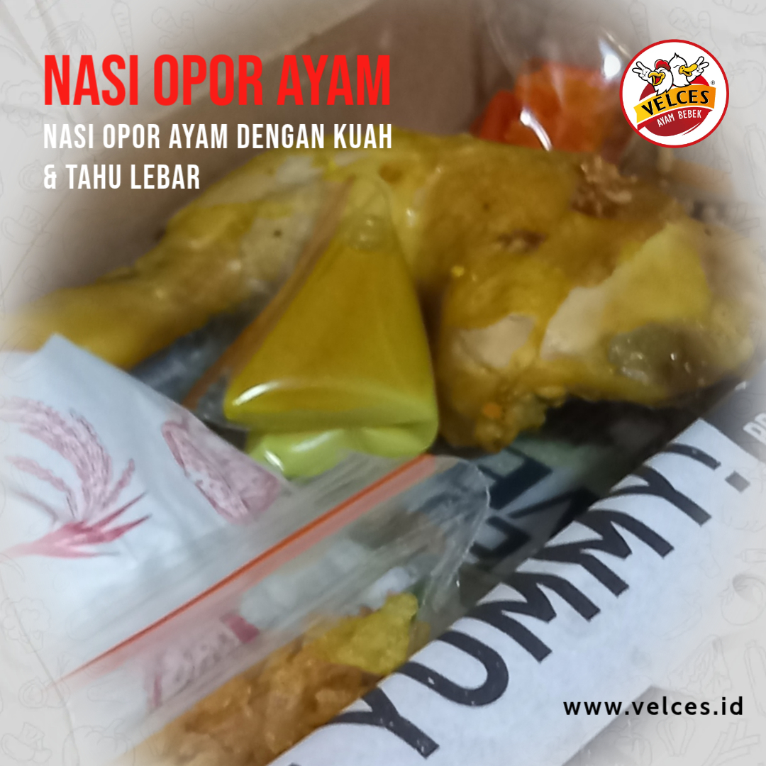 nasi opor ayam