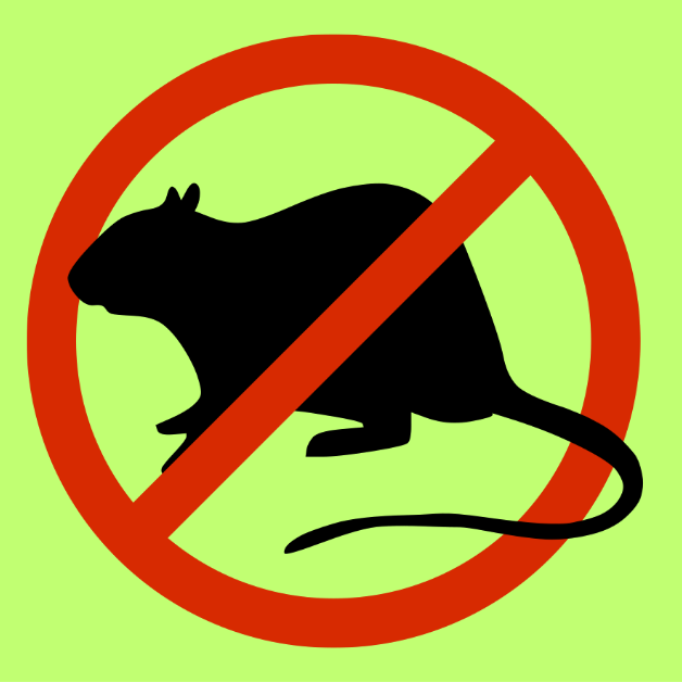 Rat Control Monthly Subscription Package – 📆 500-1000SFT  area-2000bdt/Month