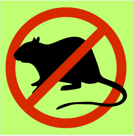 Rat Control Monthly Subscription Package – 📆 4500-5000SFT  area-5000bdt/Month