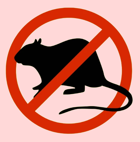 Rat Control Monthly Subscription Package – 📆 9000-10000SFT  area-8500bdt/Month