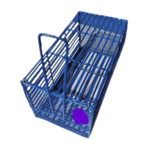 10 Piece Rat Case for Effective Rat Control Assesment 3000 BDT