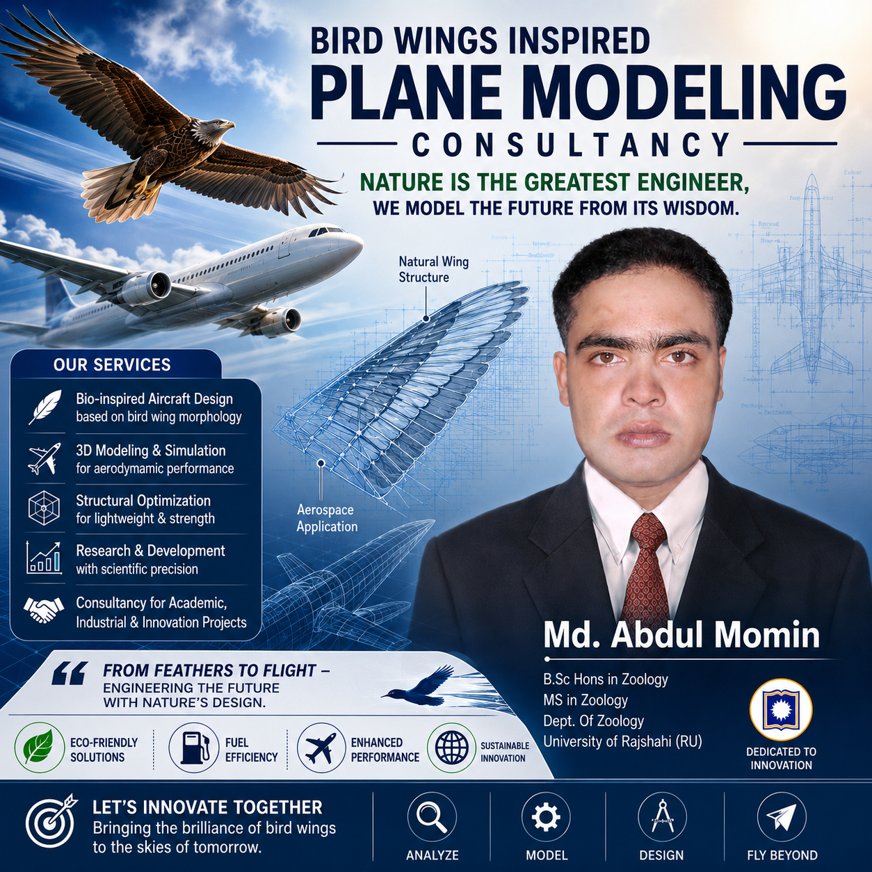 Bird Wings Inspired Plane Modeling Consultancy