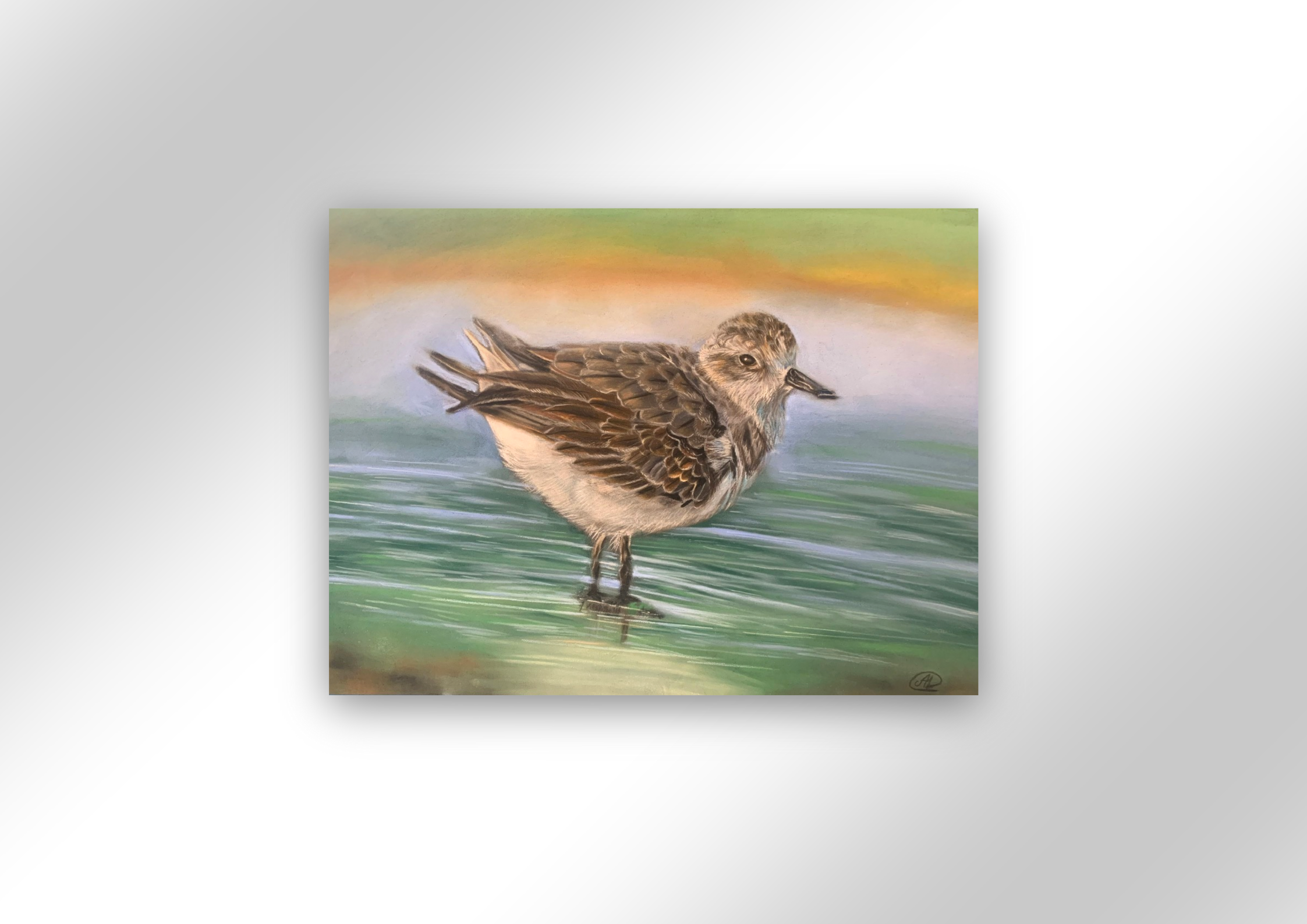 PRINTS | 'Sandpiper' - Age 11