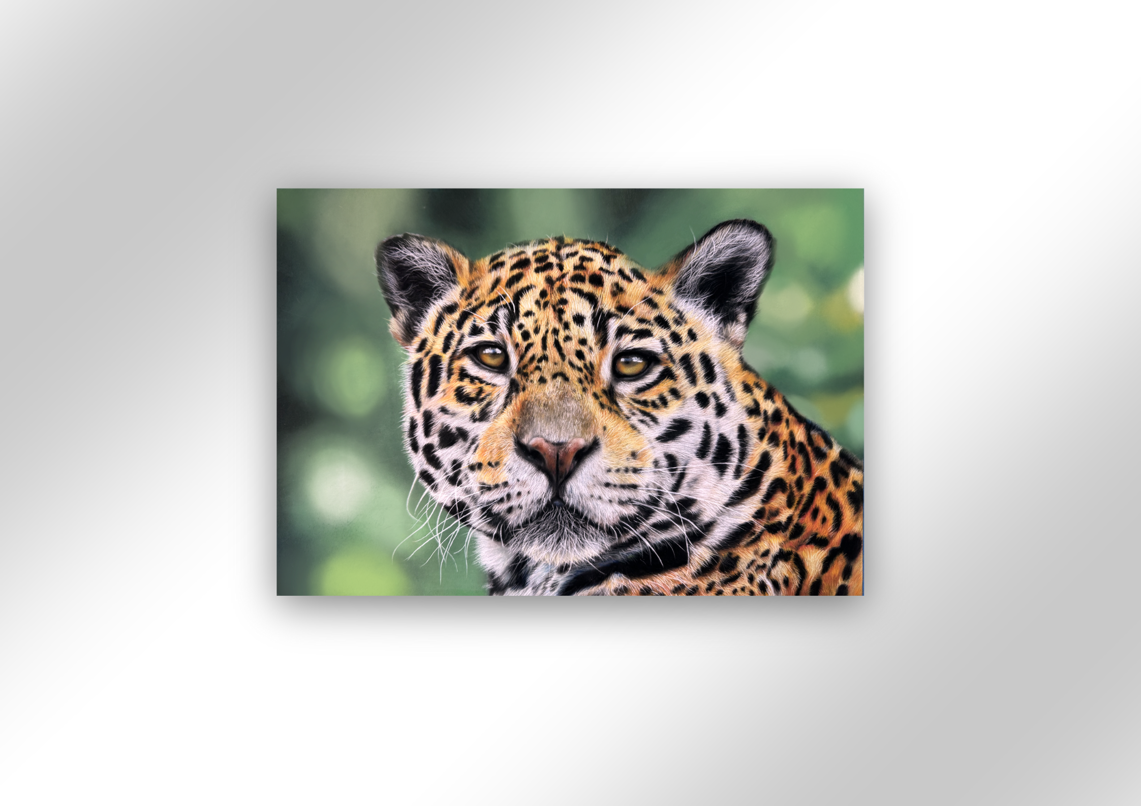 PRINTS | 'Adventure' - Fine Art Print