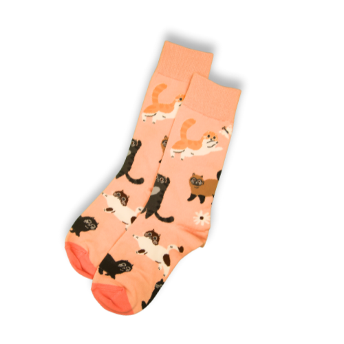Playful Cats Socks