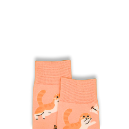Playful Cats Socks