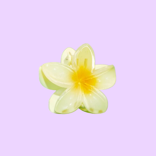 Plumeria Flower Hair Claw