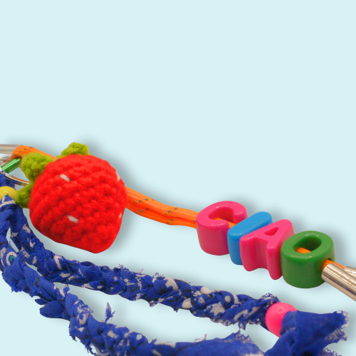 Strawberry Ciao Bag Charm