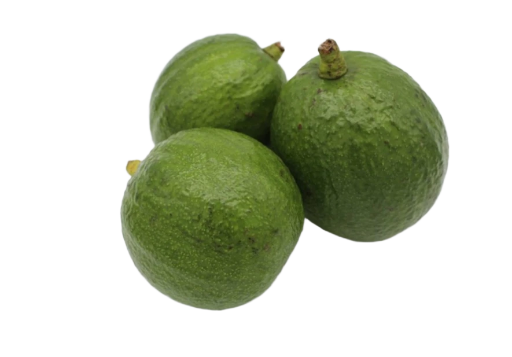 Avocat tropical 1kg