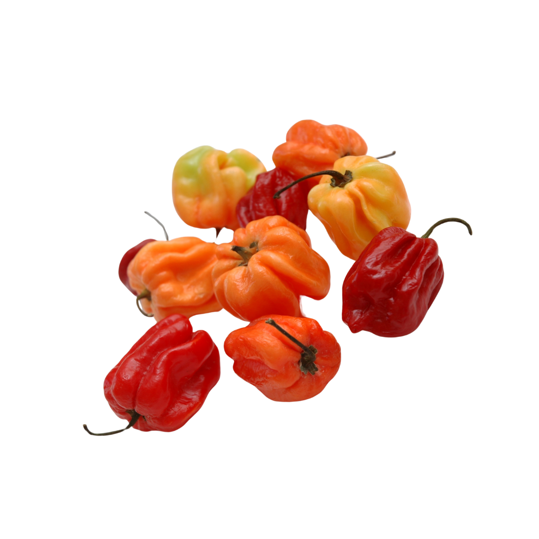 Piment rouges frais 500g