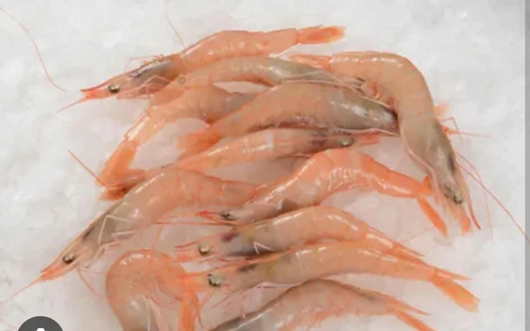 Crevettes 1kg 