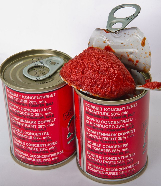 Double concentré de tomate 2*140g