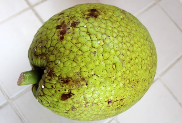 Fruit à pain la pièce (2kg)
