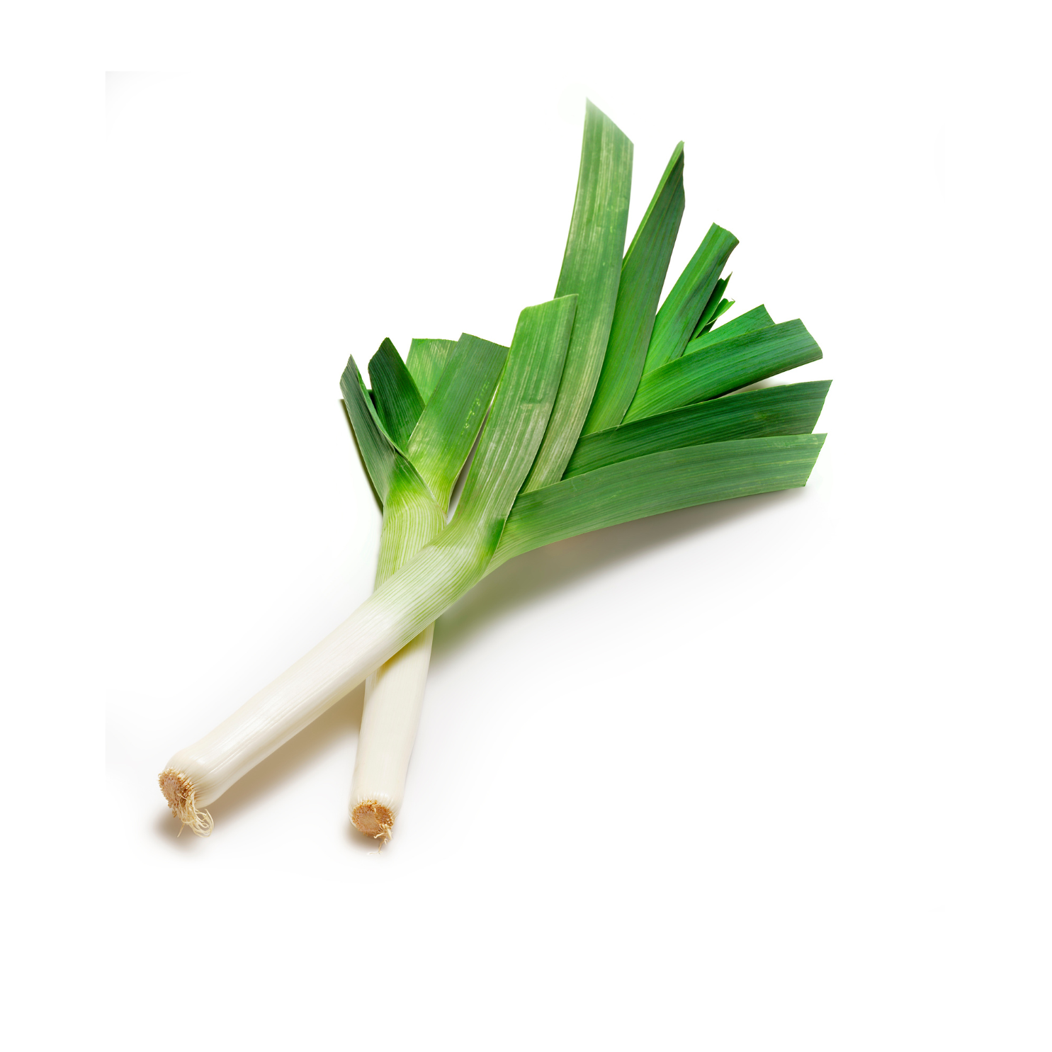 Poireaux frais biologiques 1kg