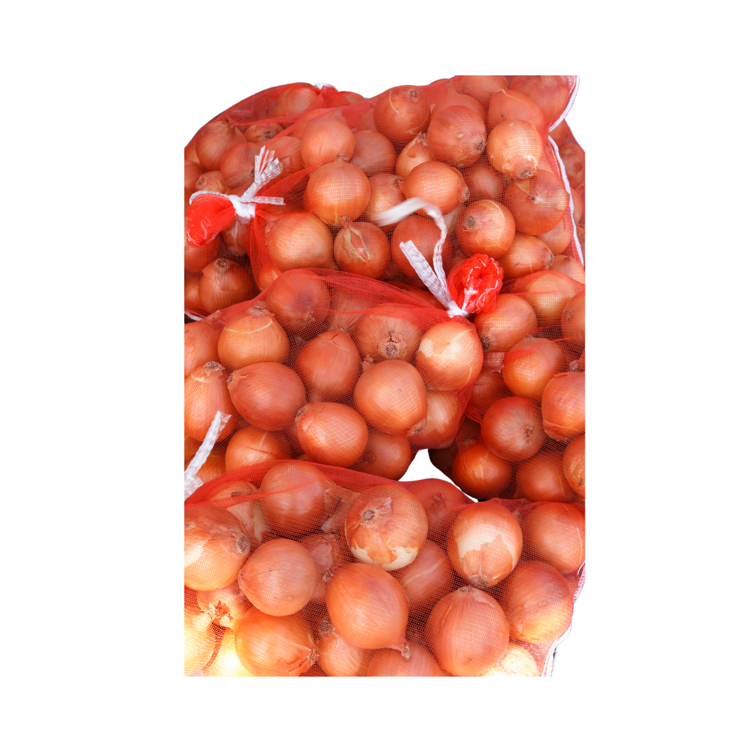 Filet d'oignons jaunes 5kg