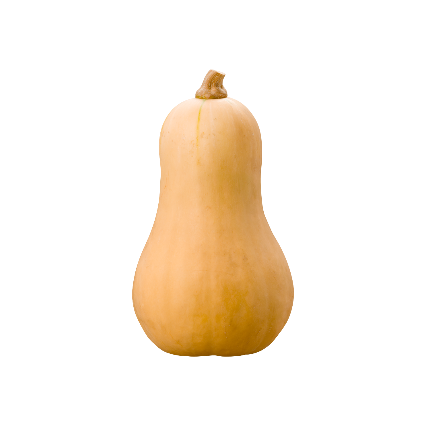 Courge Butternut par pièce (1kg)