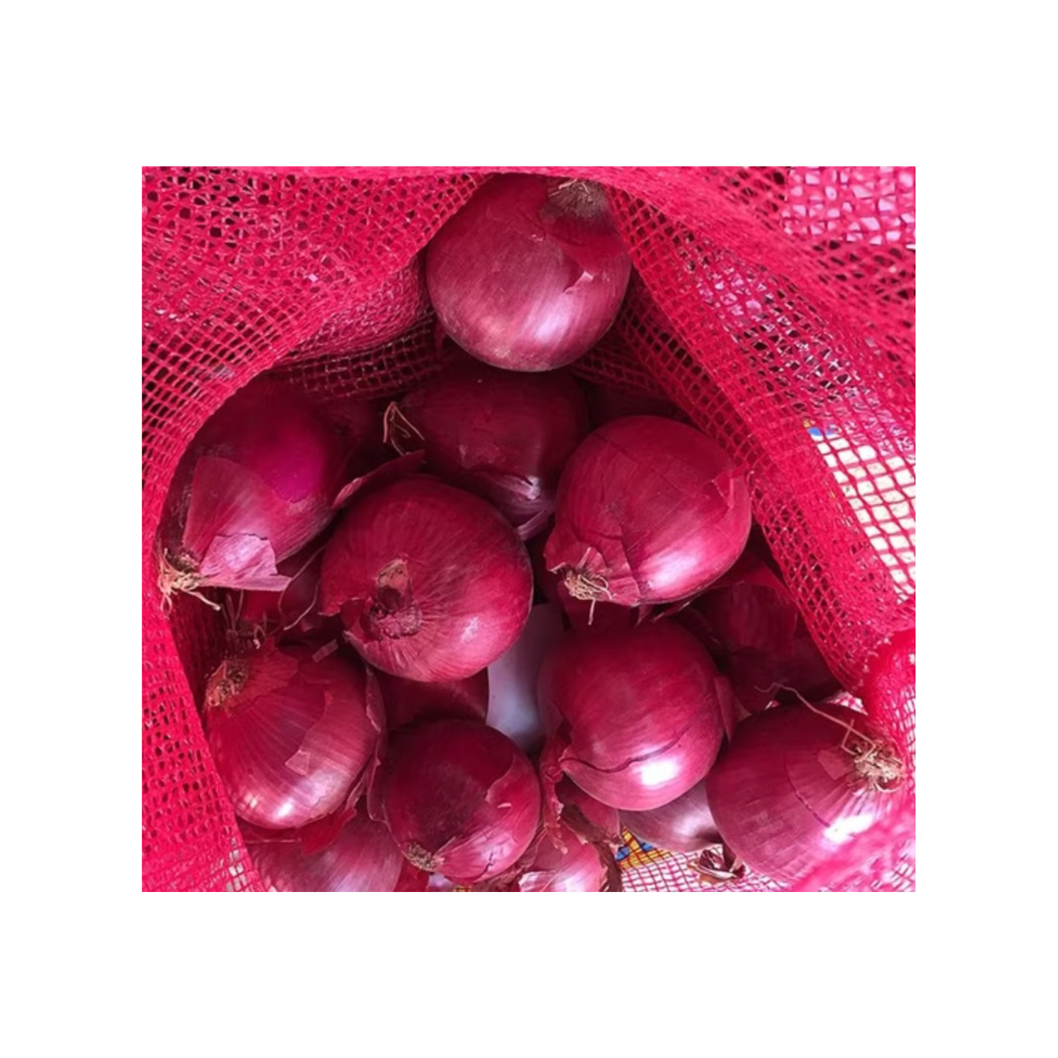 Oignons rouges 5kg