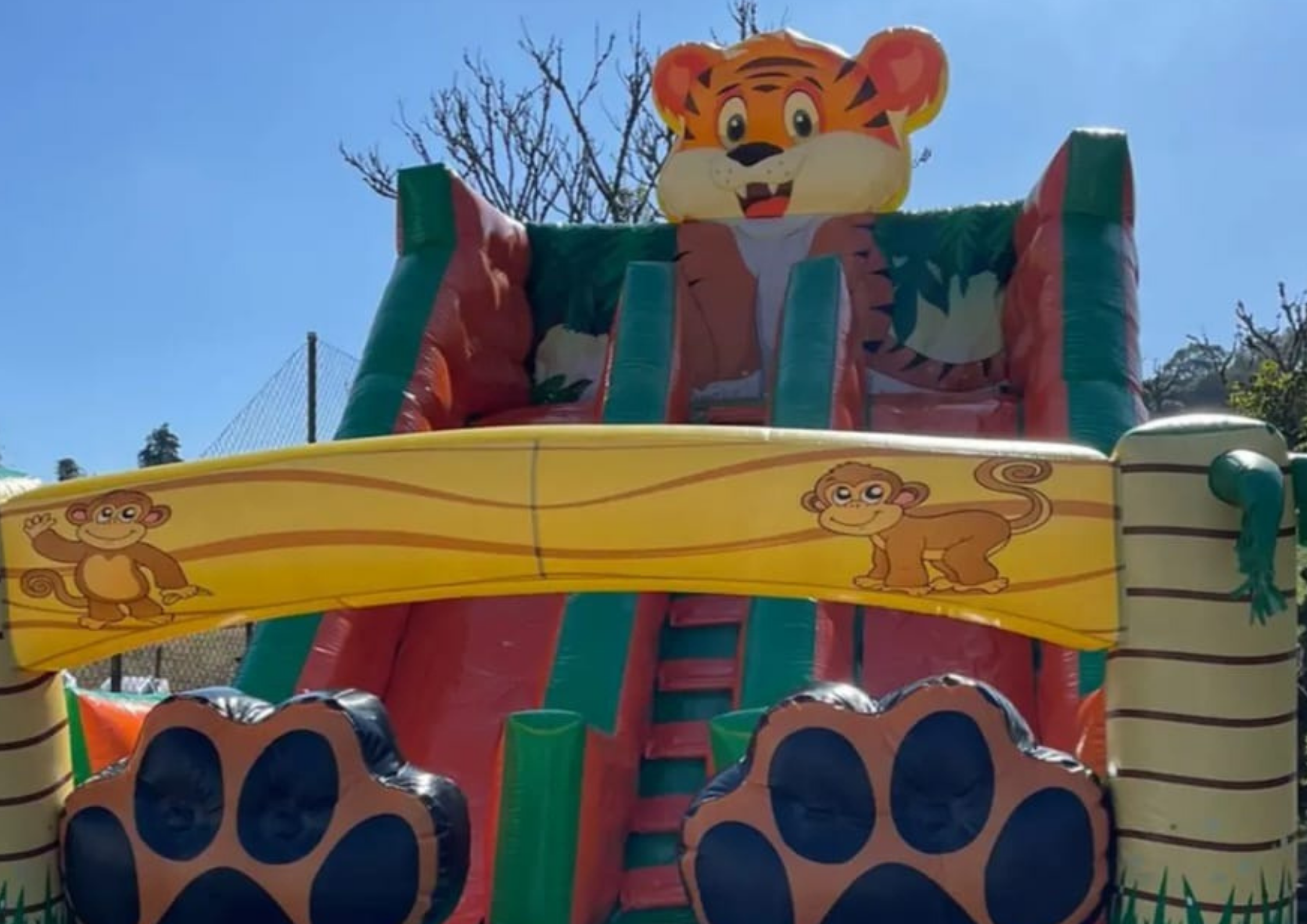 Tobogã Tigrão