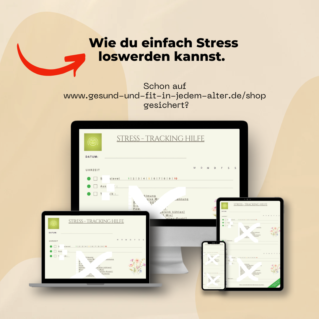 Stress-Tagebuch - Vollversion - beige