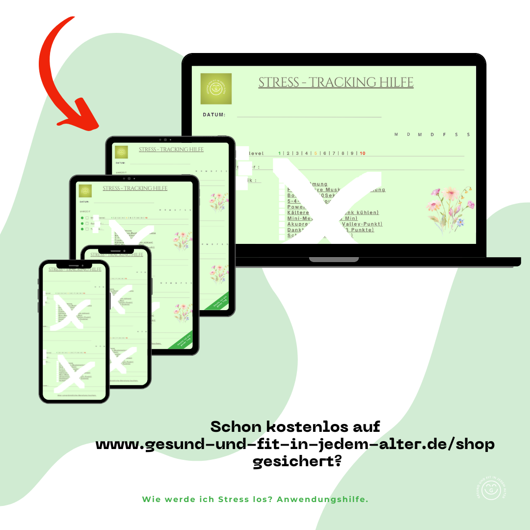 Stress-Tagebuch Gratisversion