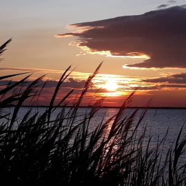 🧘 Forfait Sérénité  (Accompagnement sur plusieurs semaines)