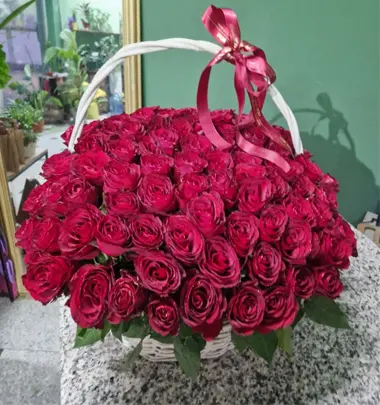 101 Ruža - Kraljevski Gest