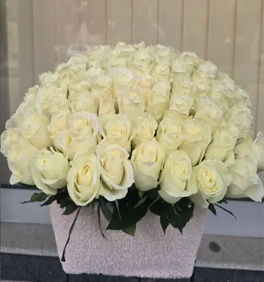 Box “101 Bela Ruža”