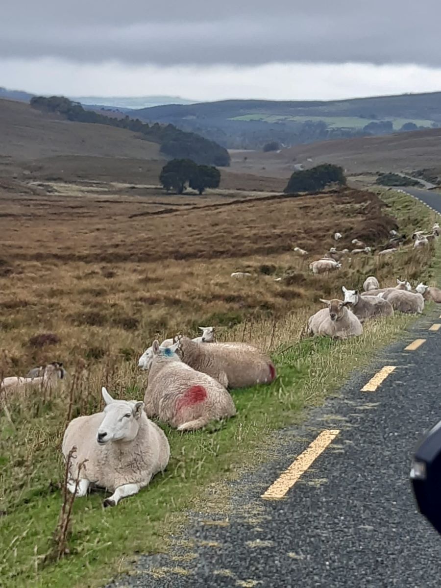 Spiritual journey to Ireland