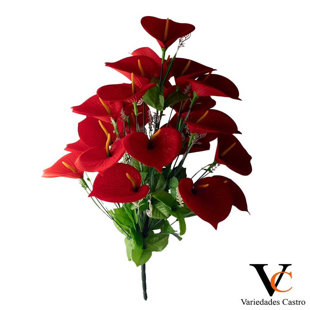 Ramo de cala de 24 unidades