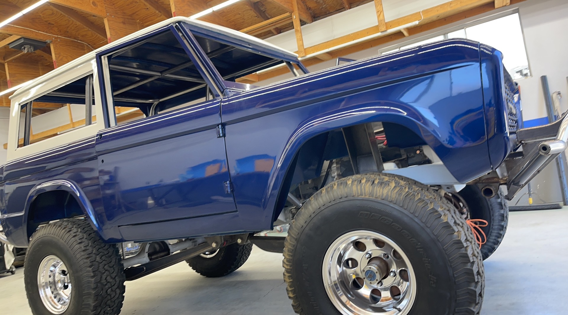 Thoroughbred Bronco