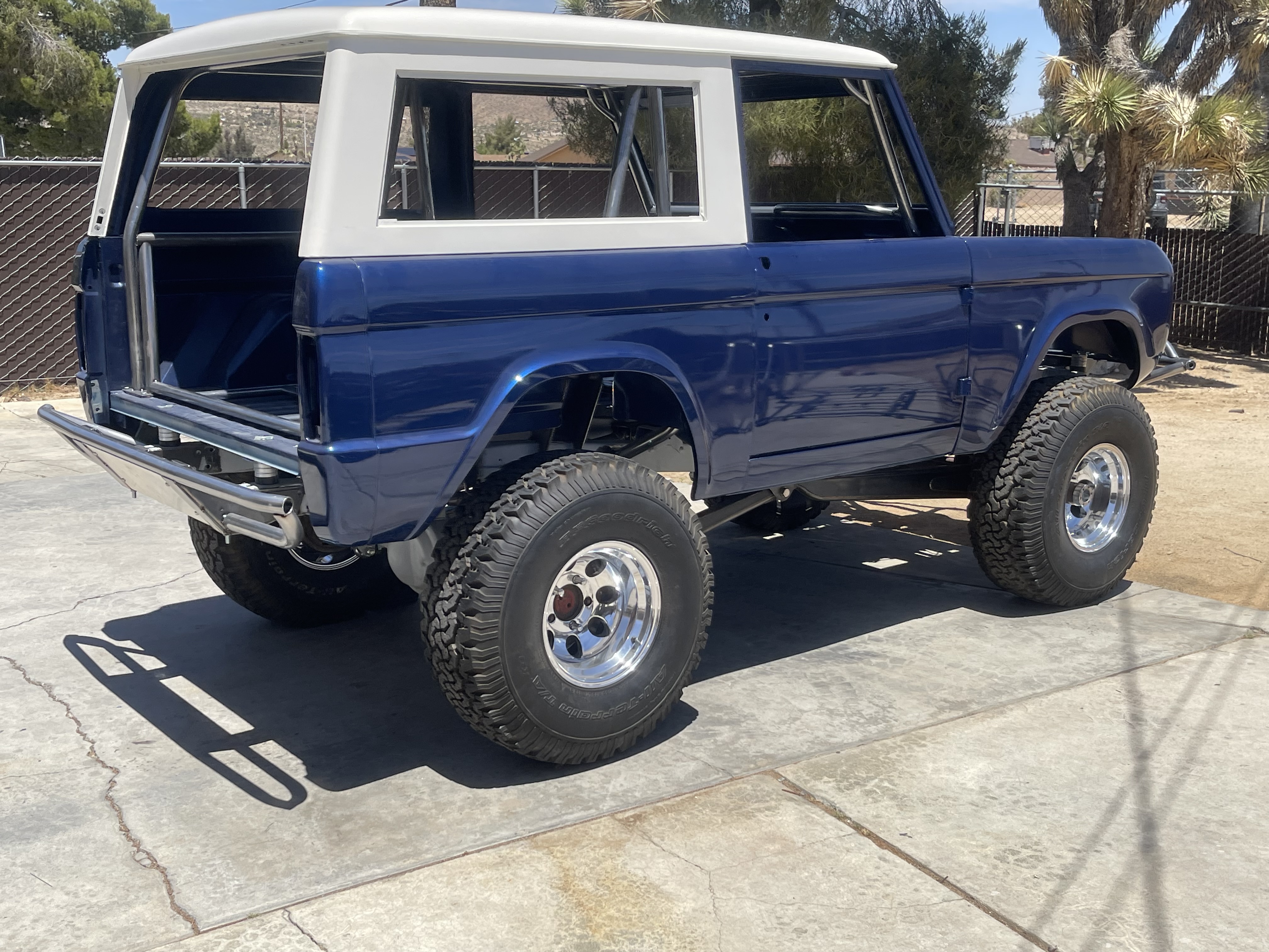 Thoroughbred Bronco