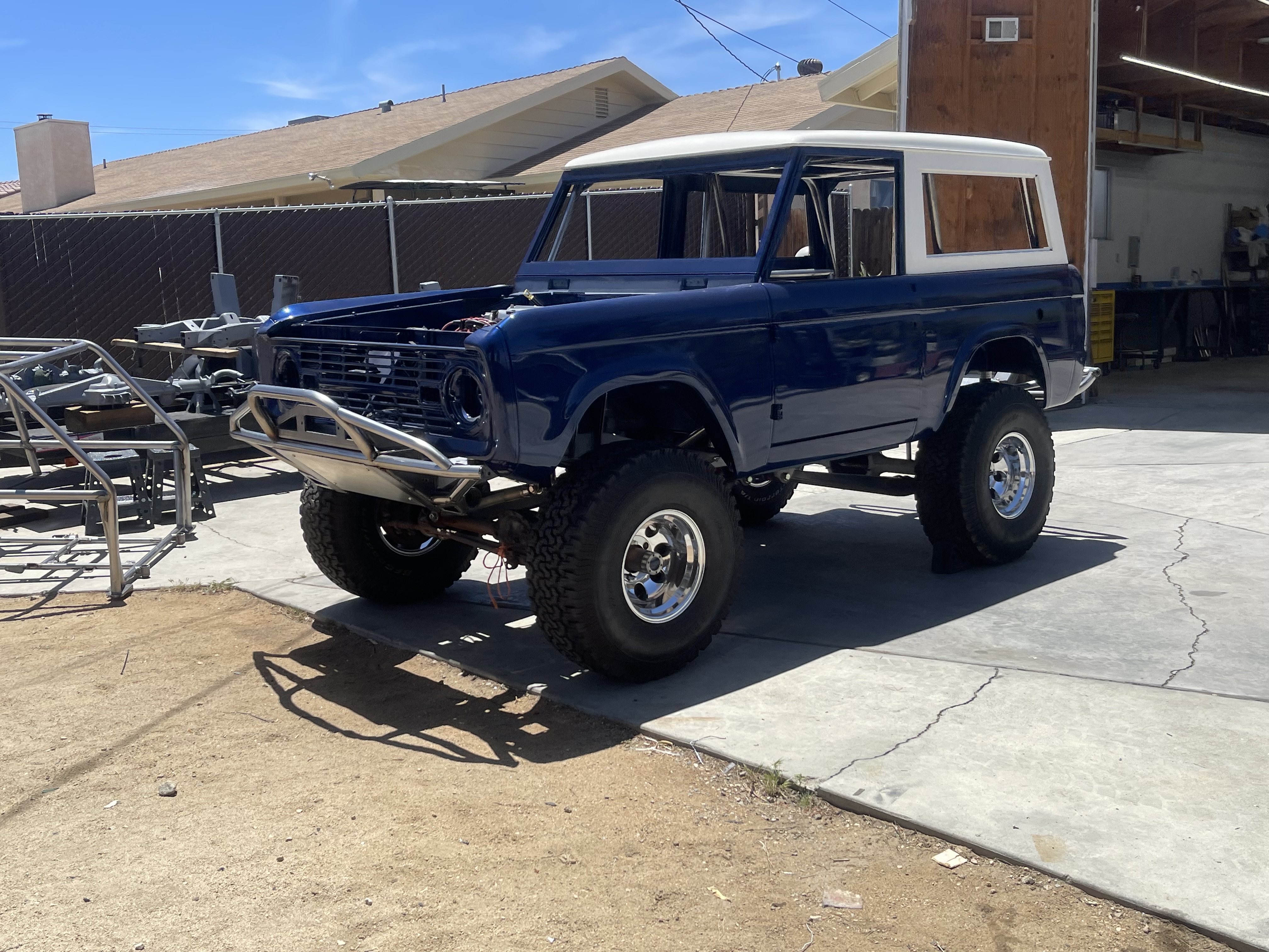 Thoroughbred Bronco