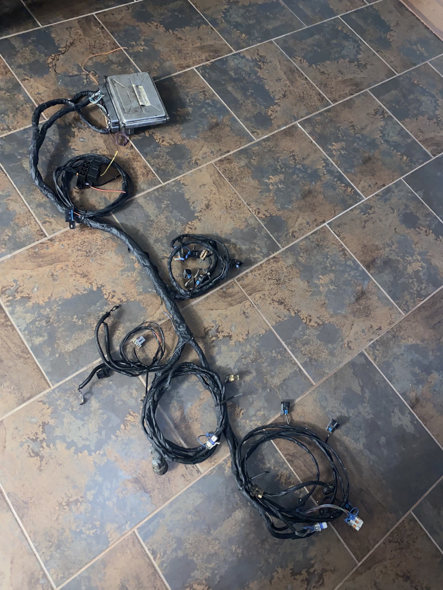 Gen 3 Ls Standalone Wiring Harness Service