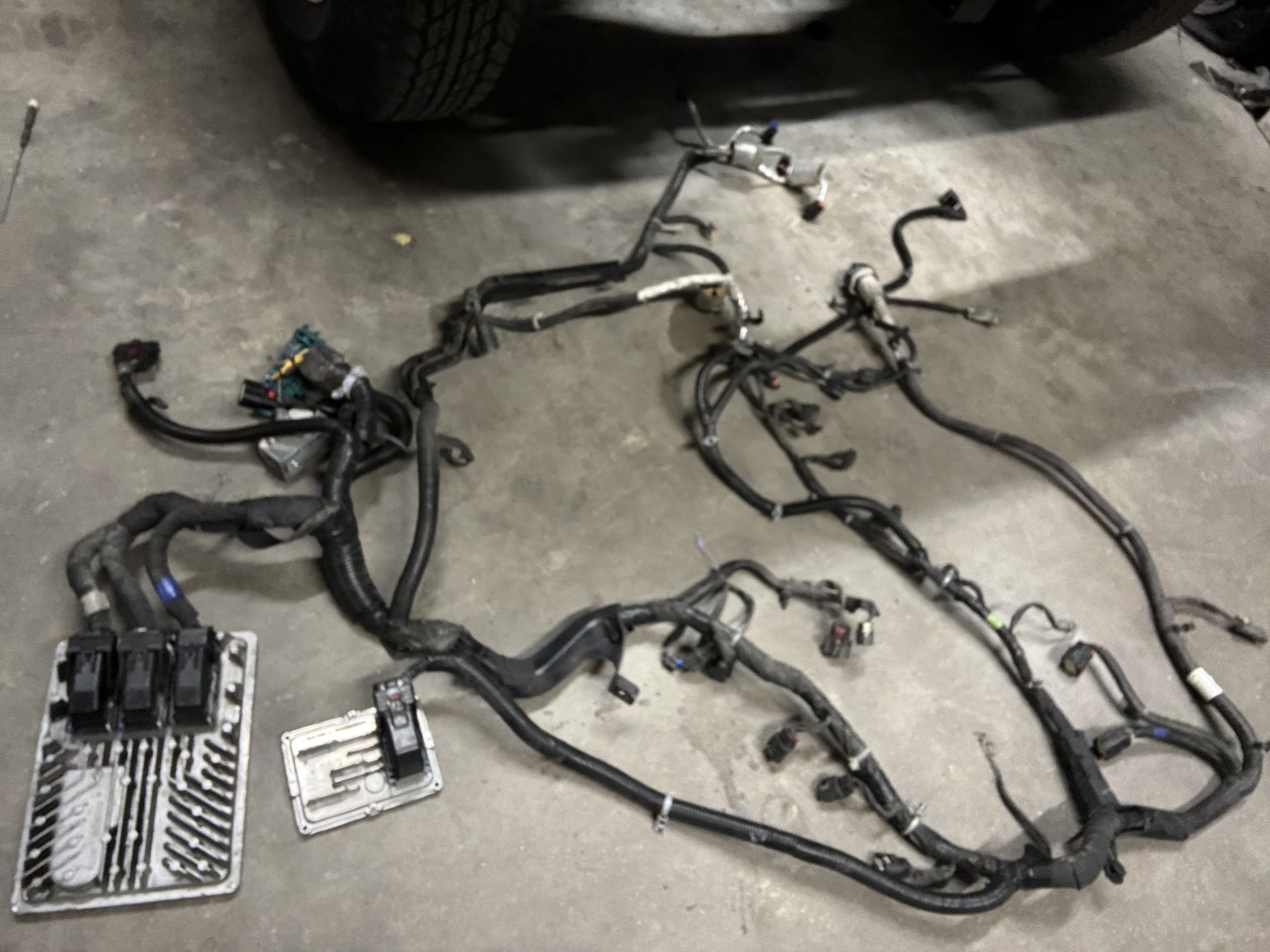 Gen 5 LT Standalone Harness Service