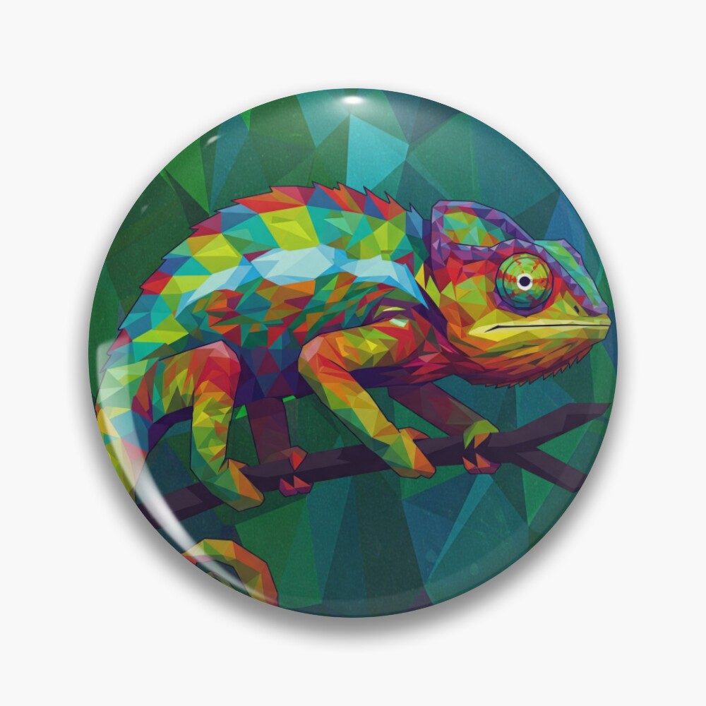 Geometric Chameleon Pin