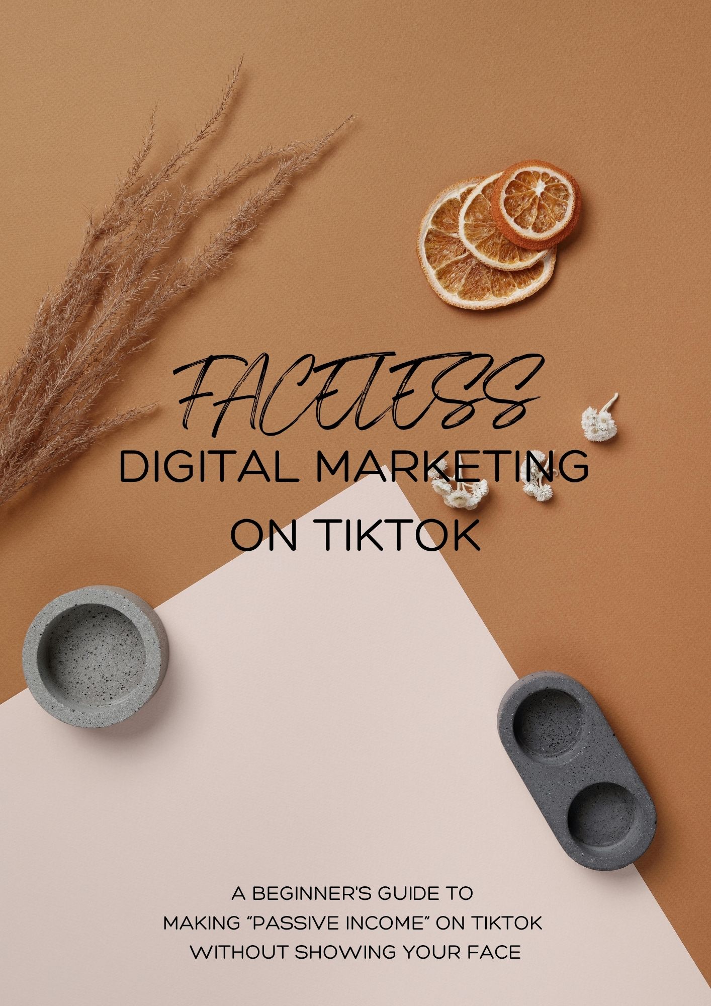 Faceless Digital Marketing on TikTok