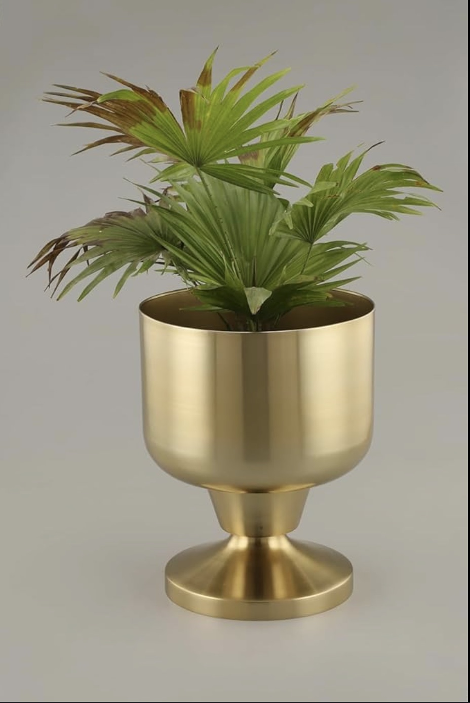 Iron Plant Pot - Gold Finish