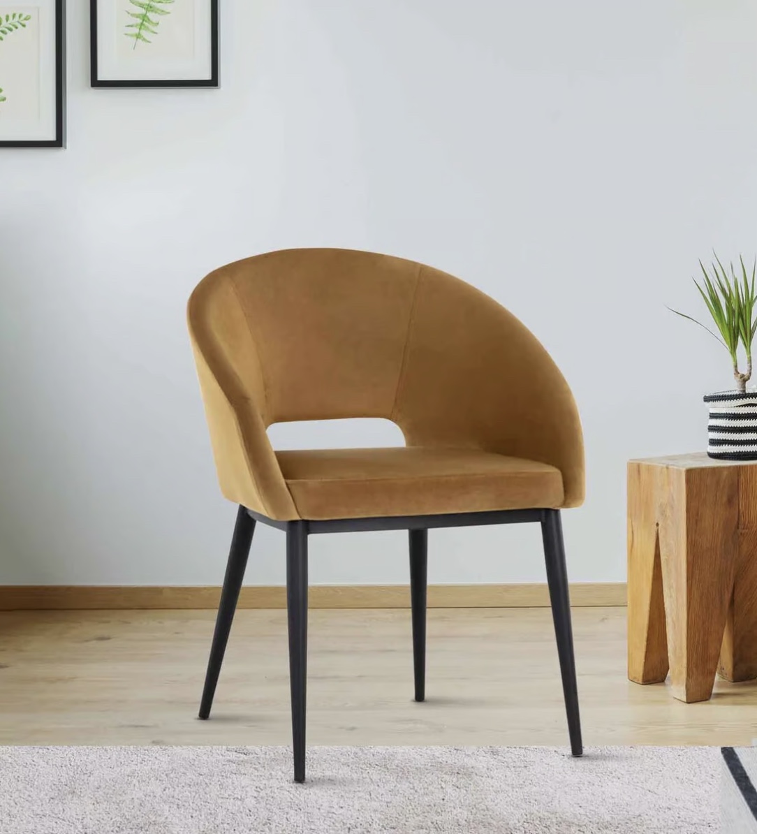 Modern Accent Chair 