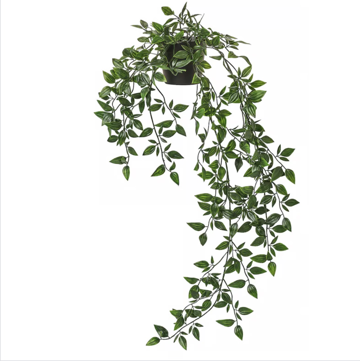 Hanging Potted Plant 